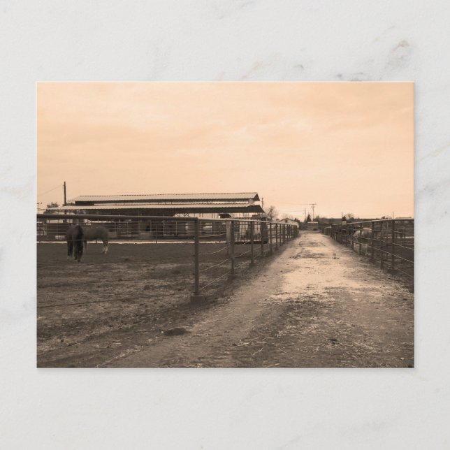 Sepia Tone Photograph Postcard (Front)