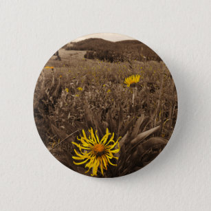 Sepia tone Yellow wildflowers 6 Cm Round Badge