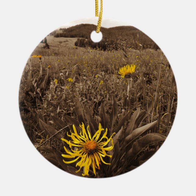 Sepia tone Yellow wildflowers Ceramic Ornament (Front)