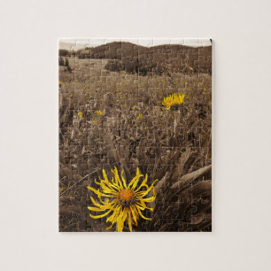Sepia tone Yellow wildflowers Jigsaw Puzzle