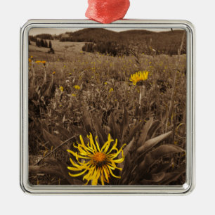 Sepia tone Yellow wildflowers Metal Ornament