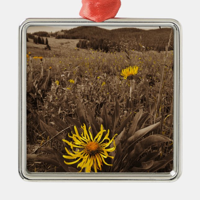 Sepia tone Yellow wildflowers Metal Ornament (Front)