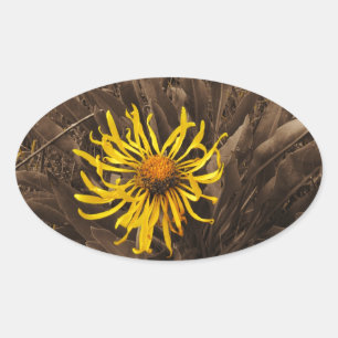 Sepia tone Yellow wildflowers Oval Sticker