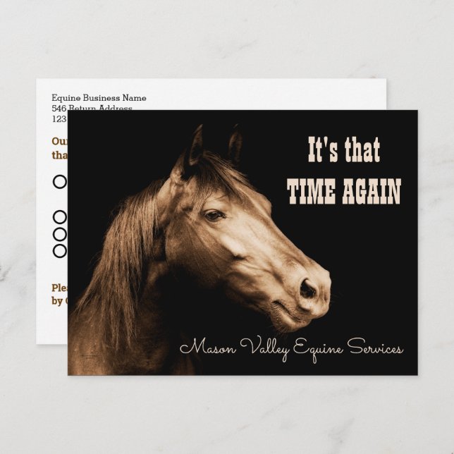 Sepia Toned Horse Appointment Reminder Postcard (Front/Back)