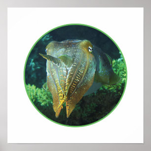 Sepia Up Close! - Round Photographic Design Poster
