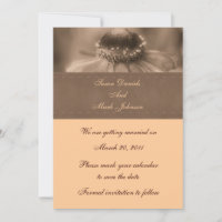 Sepia Zinnia Flower Wedding Save The Date