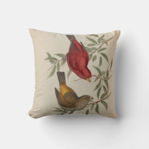 Sepoy Finch by John Gould Cushion