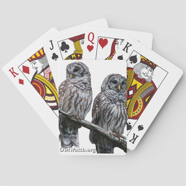 Sept 2014 - OwlWatch Owls Playing Cards (Back)