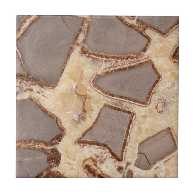 Septarian Nodule Cross Section Interesting Rocks Ceramic Tile (Front)