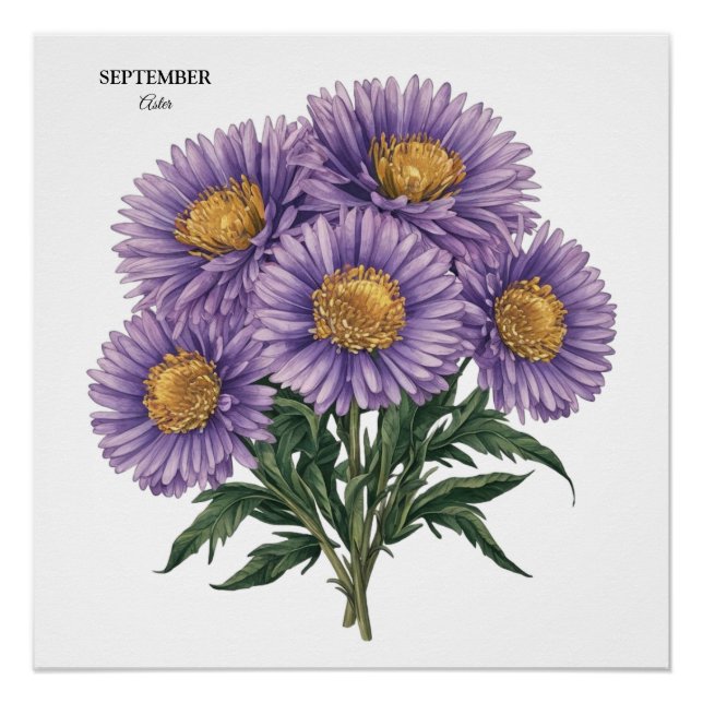 September Aster Birth Month Custom Floral Art Poster (Front)
