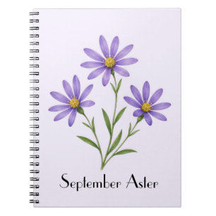 September Aster Flowers Notebook