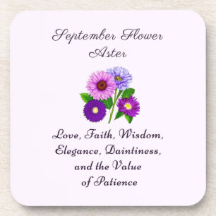 September Birth Month Flower Aster     Coaster