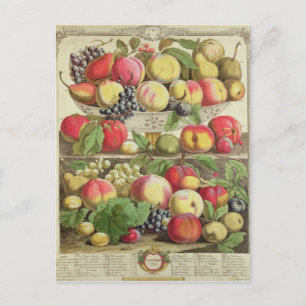 September, from 'Twelve Months of Fruits' Postcard