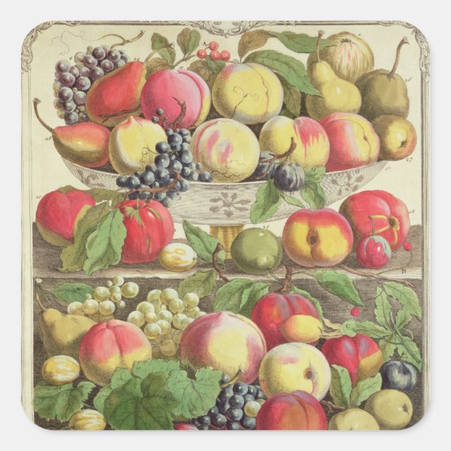 September, from 'Twelve Months of Fruits' Square Sticker (Front)