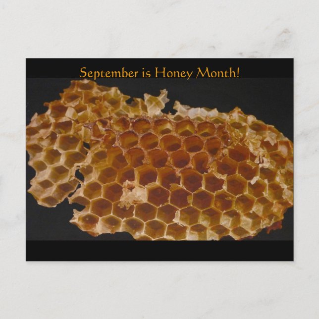 September is Honey Month! Postcard (Front)