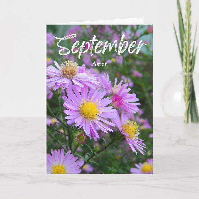 September Purple Yellow Aster Birth Month Birthday Card (Front)