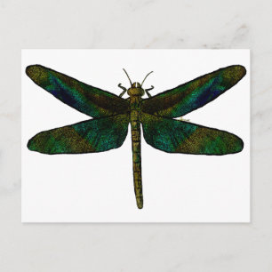 September Wing Postcard