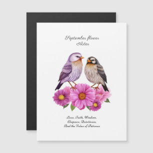 September's Glorious Flower - Aster