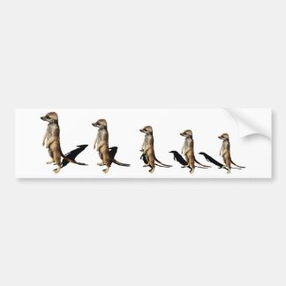 sequential ground males bumper sticker