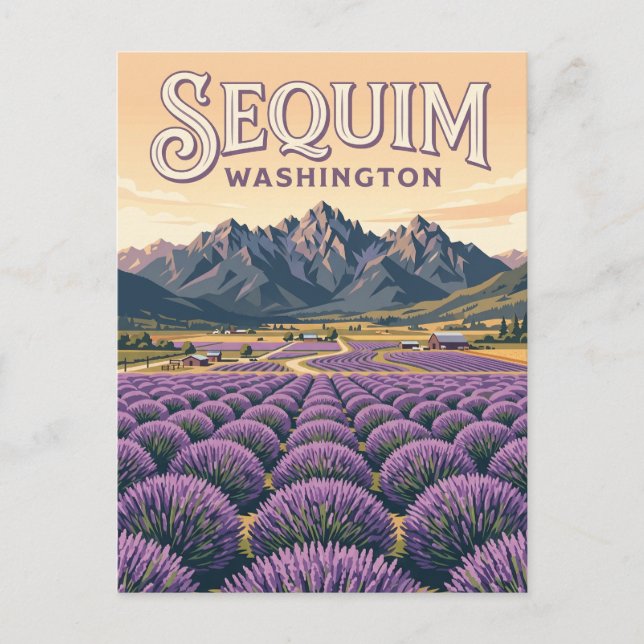 Sequim Lavender Farms Washington Postcard (Front)
