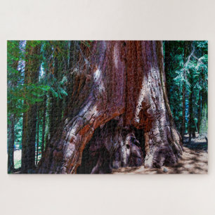 Sequioa Tree Sequioa National Park California. Jig Jigsaw Puzzle