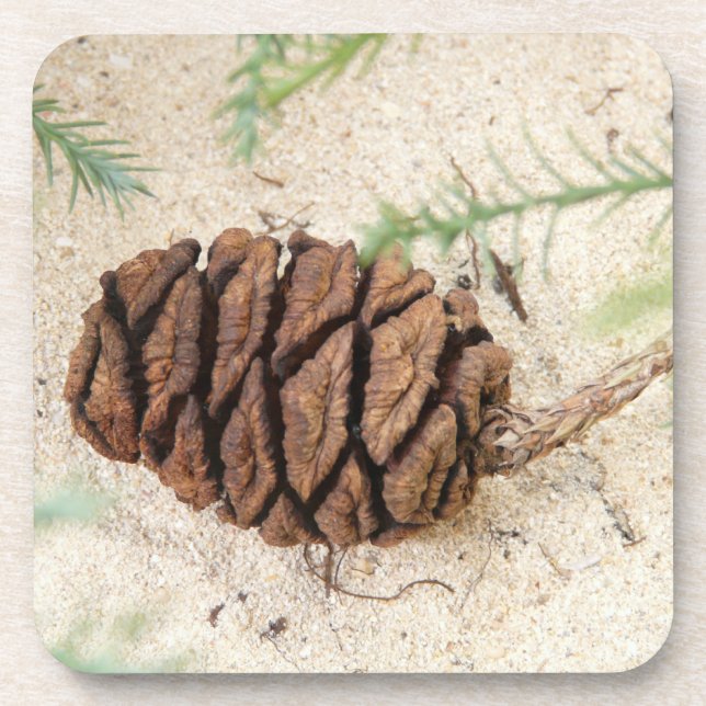 Sequoia Cone Cork Coasters (Front)