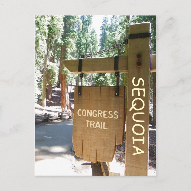 Sequoia/Congress Trail Postcard! Postcard (Front)