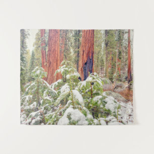 Sequoia Forest Landscape in Winter Tapestry