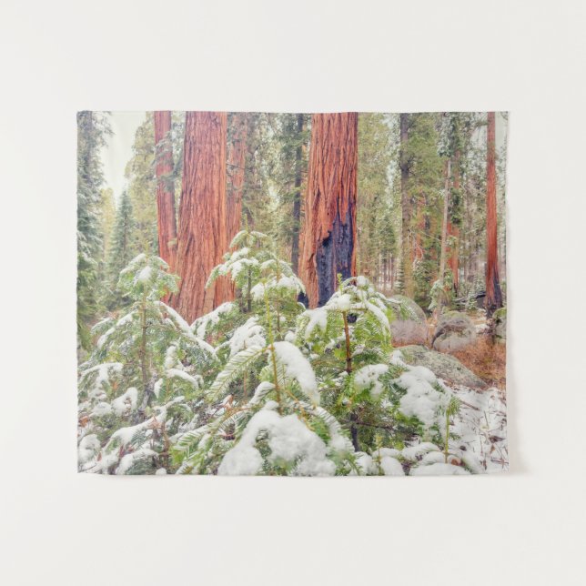 Sequoia Forest Landscape in Winter Tapestry (Front (Horizontal))