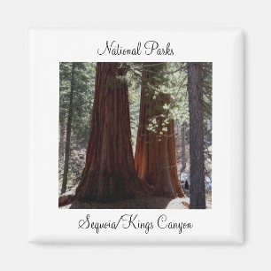 Sequoia/Kings Canyon Magnet
