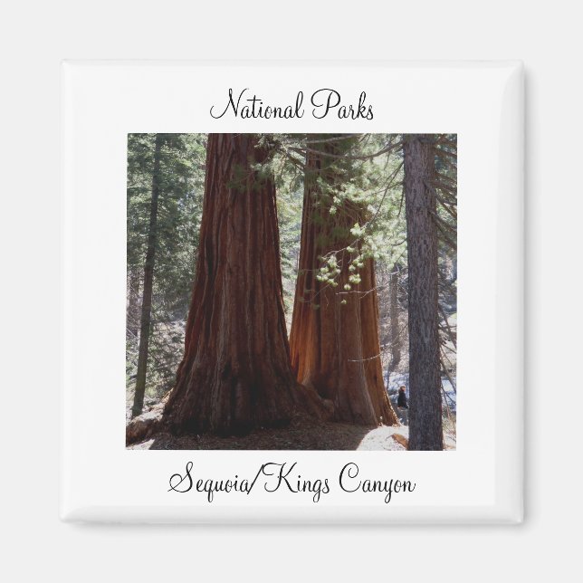 Sequoia/Kings Canyon Magnet (Front)