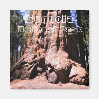 Sequoia/Kings Canyon National Park Magnet