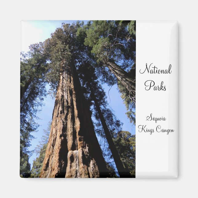 Sequoia/Kings Canyon National Park Magnet (Front)