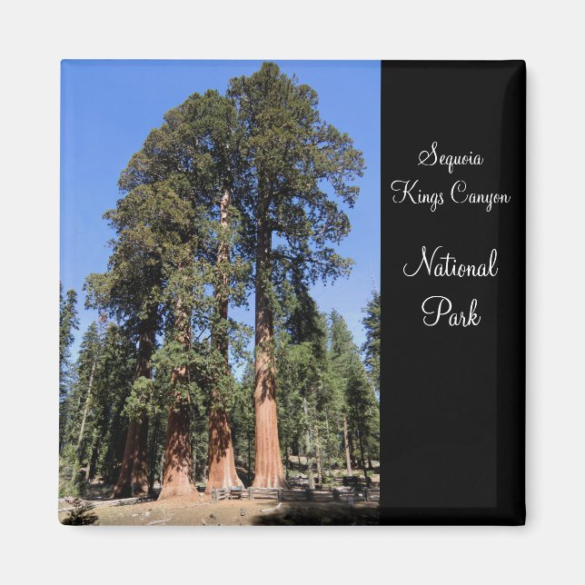 Sequoia/Kings Canyon National Park Magnet (Front)