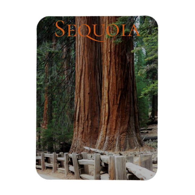 Sequoia/Kings Canyon National Park Magnet (Vertical)
