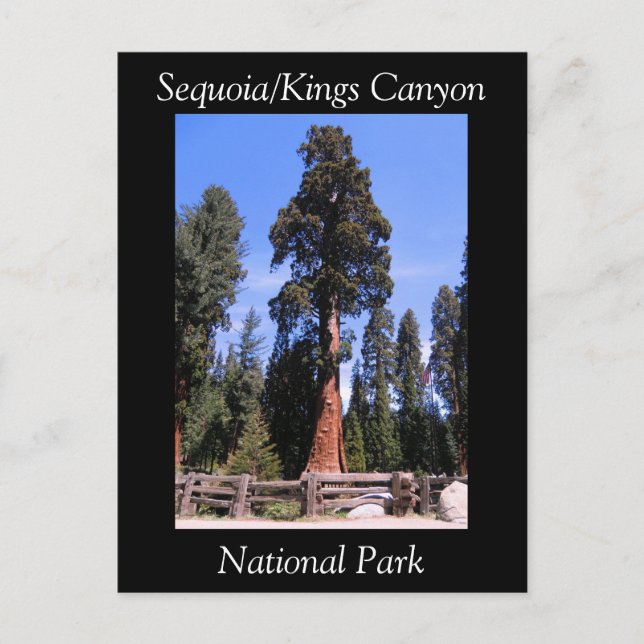 Sequoia Kings Canyon National Park Postcard (Front)