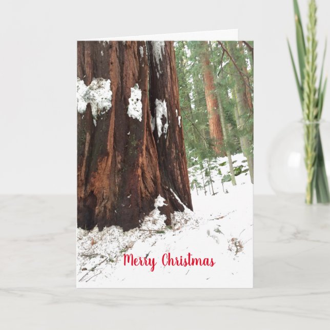 Sequoia Merry Christmas Greetings Card (Front)