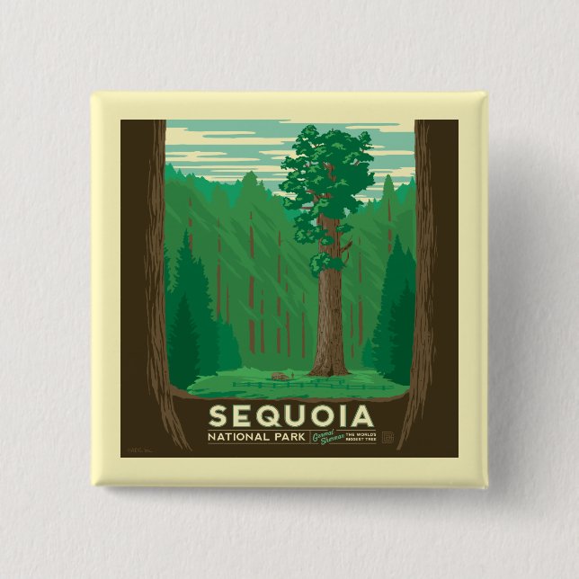 Sequoia National Park 15 Cm Square Badge (Front)
