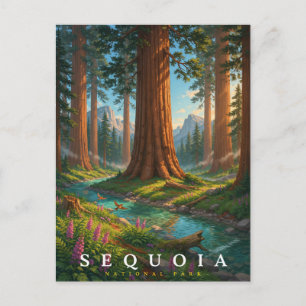 Sequoia National Park California Forest Travel Postcard