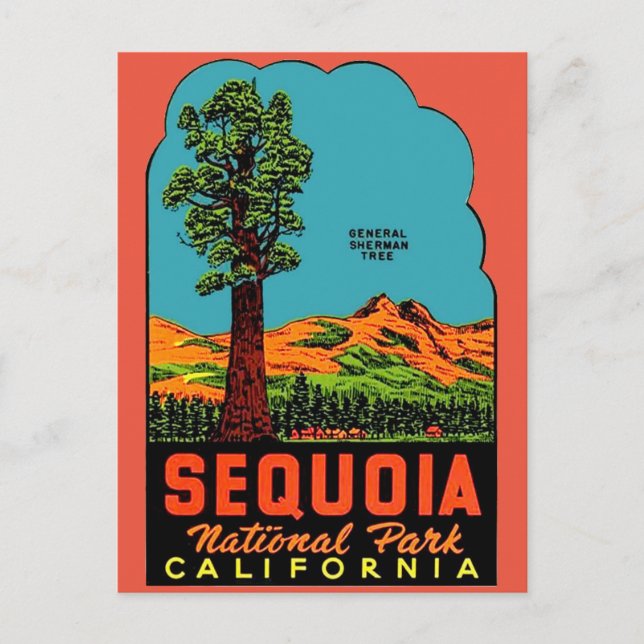 Sequoia National Park California Postcard (Front)