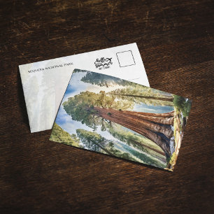 Sequoia National Park California Postcard