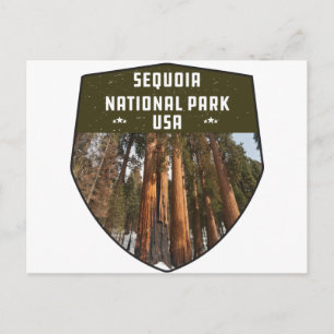 Sequoia National Park California sequoia trees Postcard