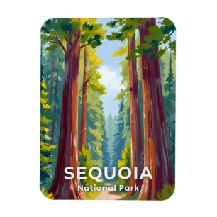 Sequoia National Park   California Travel Magnet