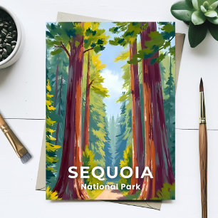 Sequoia National Park   California Travel Postcard
