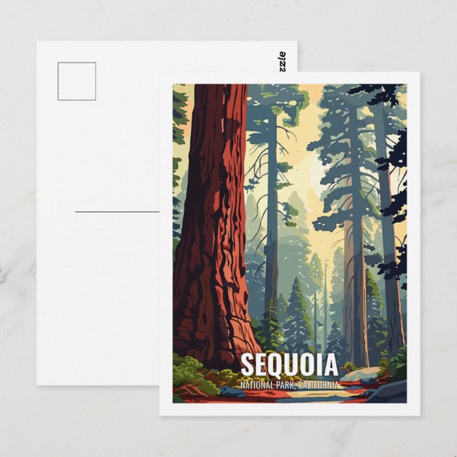 Sequoia National Park California USA  Postcard (Front/Back)