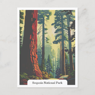 Sequoia National Park, California USA Postcard