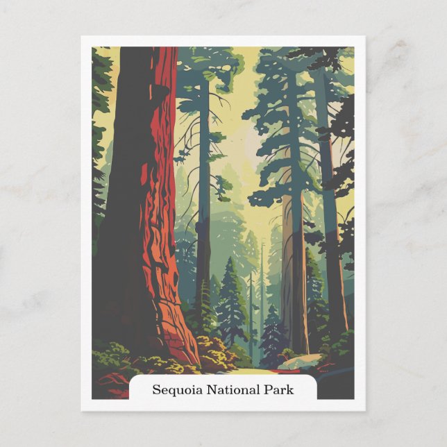 Sequoia National Park, California USA Postcard (Front)