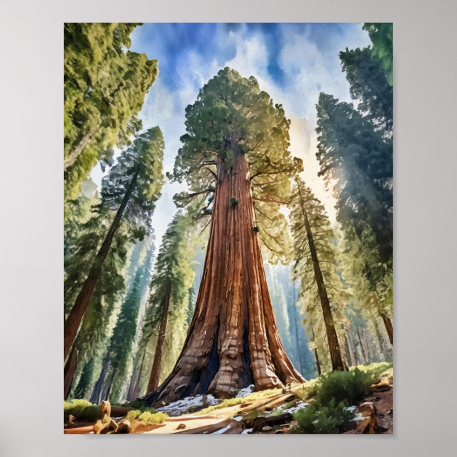 Sequoia National Park California Watercolor Poster (Front)