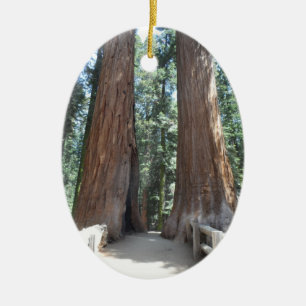 Sequoia National Park Ceramic Tree Decoration