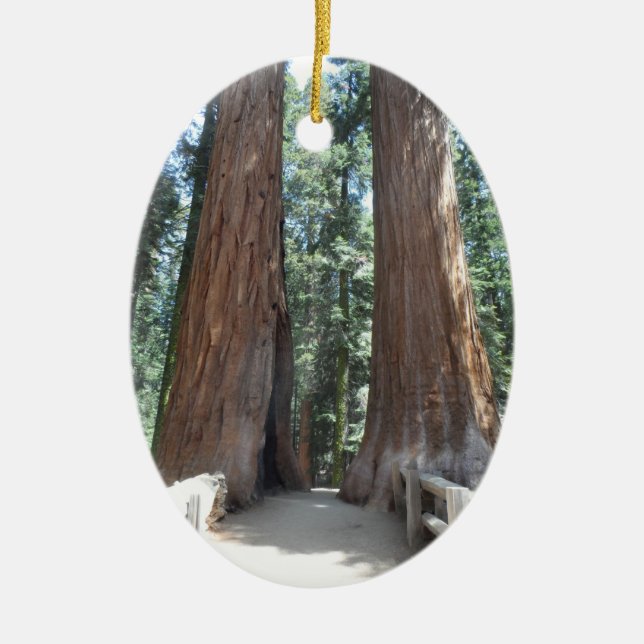 Sequoia National Park Ceramic Tree Decoration (Front)